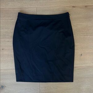 The Limited Lined Navy Pencil Skirt